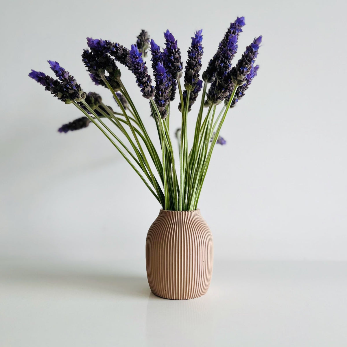 A small ribbed concrete vase in aEarth Bound Solid Concrete, filled with dried lavender stems featuring purple flower spikes and green stems, set against a clean white background.