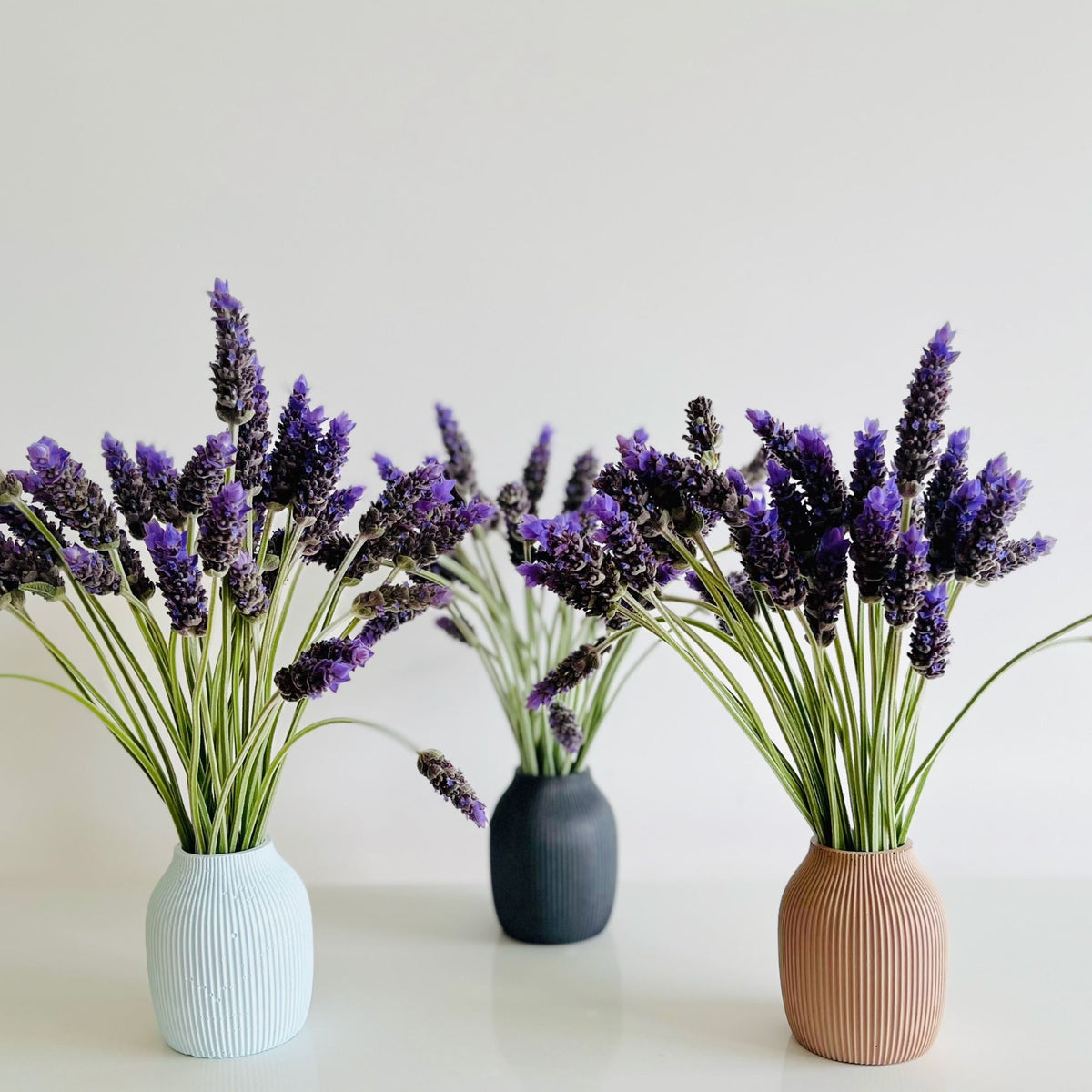 Set of three solid concrete finish Macey Vase. Sea Salt, Moon Shadow and Earth Bound Lennoelia Designs Signature Colours